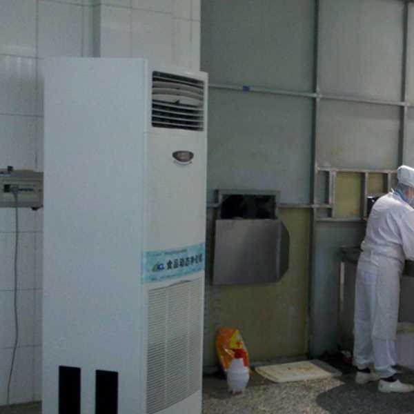 亳州食品正负离子空气杀菌器